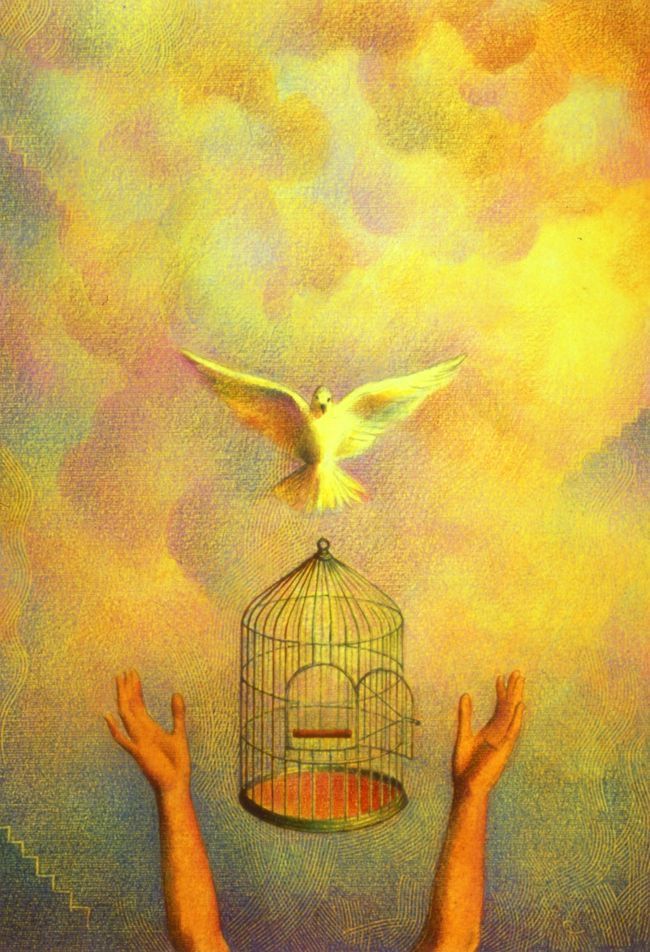 873aa7d73bee6ee7195ea884ee37f531